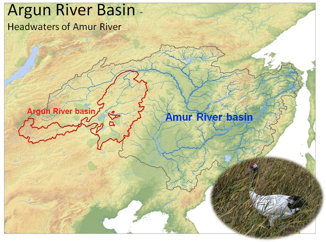 2 притока амура. Бассейн реки Аргунь. Река АРГУ В Китае на карте. Река Аргунь на карте. Река Амур на карте.