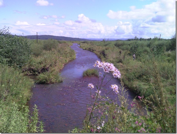 Ulaga River in Small Hinggan Mountains after post-mining restoration. 2011