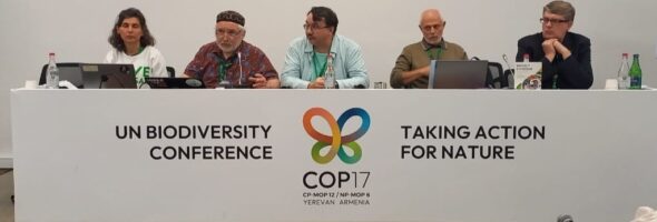 30×30 in Northern Eurasia: Not Just New Hectares &mdash; Existing Protected Areas Need Defending Too
