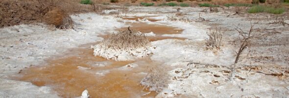 New Canal Construction by Taliban Exacerbates Water Crisis in the Aral Sea Basin