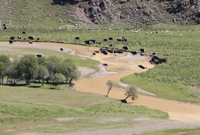 Mongolian Rivers and Lakes Movements regain a chance to win a war on gold mining