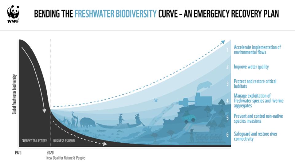 The Role of Energy Systems in Decline and Recovery of Aquatic Biodiversity