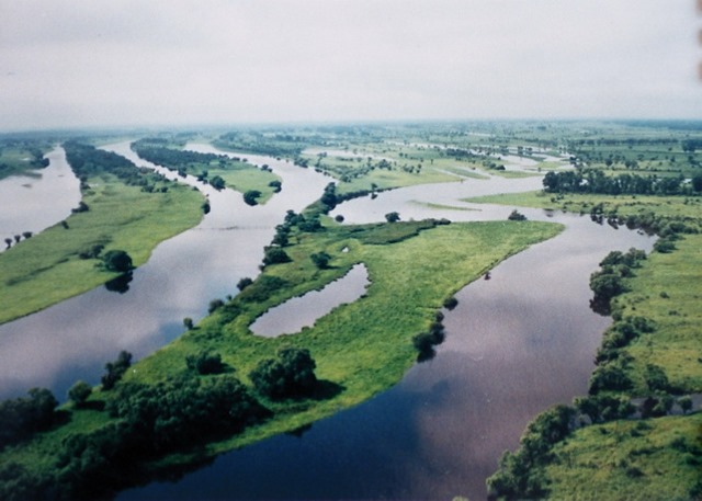 Image result for Amur river