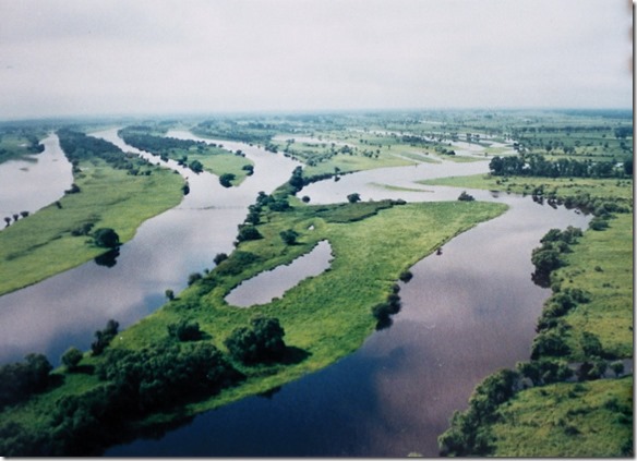 Ecological Network for the New Silk Road Launched in the Amur River Basin