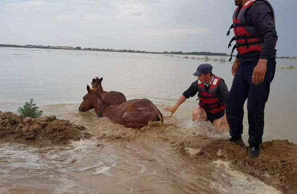 A year after Sardoba dam collapse secrecy prevails: All we know – the catfish and rodents not guilty!