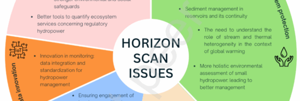 The Oxymoron of “Sustainable Hydropower”: An Insider’s Perspective