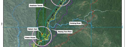 Chinese  State-owned SDIC quietly proceeds with extermination of Tapanuli Orangutans