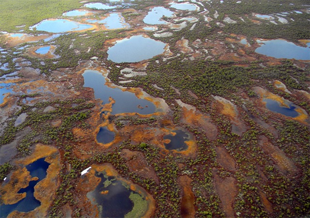 The Largest Mire in the World protected – all other Russian mires doomed? —  Rivers without Boundaries