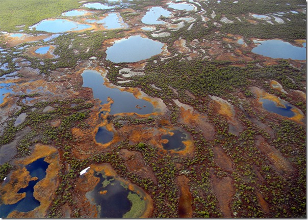 The Largest Mire in the World protected – all other Russian mires doomed?