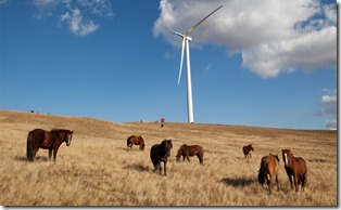 Windfarming Accelerates in Mongolia Leaving No Chance for Large Dams