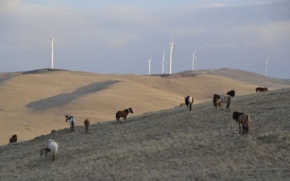 Mongolia’s first wind farm